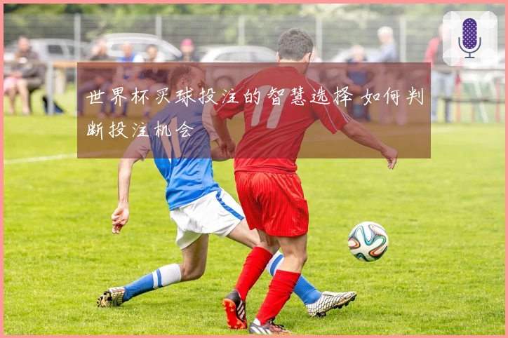 世界杯买球投注的智慧选择 如何判断投注机会