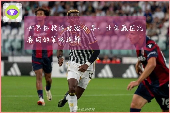 世界杯投注经验分享，让你赢在比赛前的策略选择