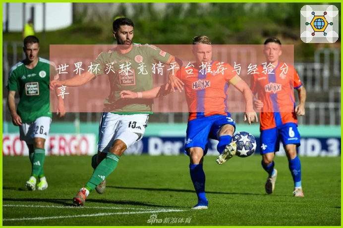 世界杯买球竞猜平台推荐与经验分享