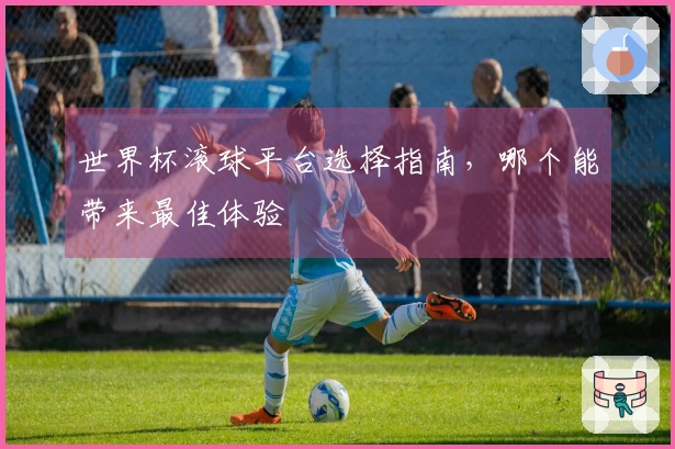 世界杯滚球平台选择指南，哪个能带来最佳体验