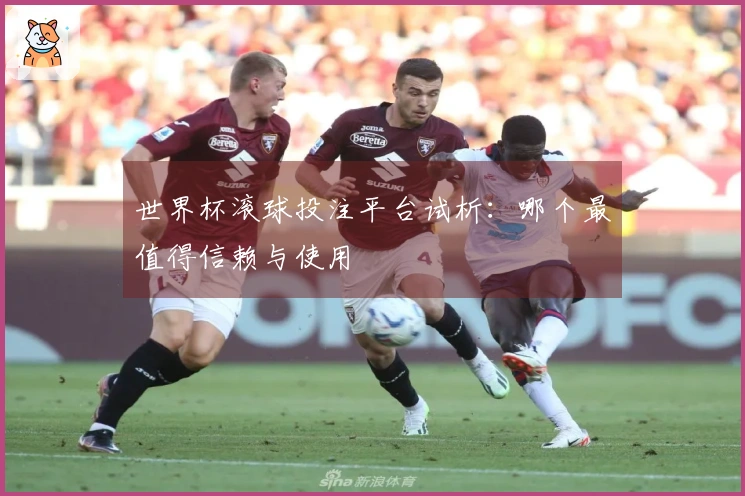 世界杯滚球投注平台试析：哪个最值得信赖与使用