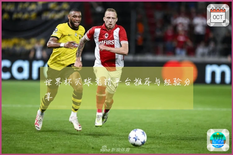世界杯买球竞猜平台推荐与经验分享