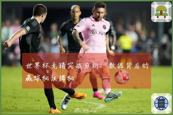 世界杯竞猜实战分析：数据背后的赢球秘诀揭秘