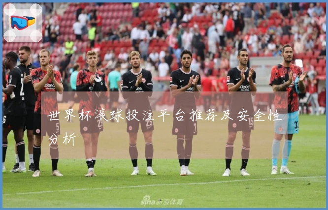 世界杯滚球投注平台推荐及安全性分析
