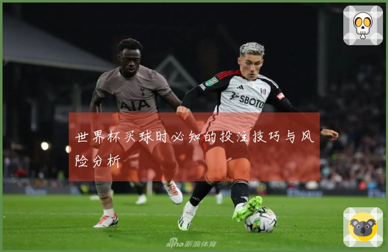 世界杯买球时必知的投注技巧与风险分析