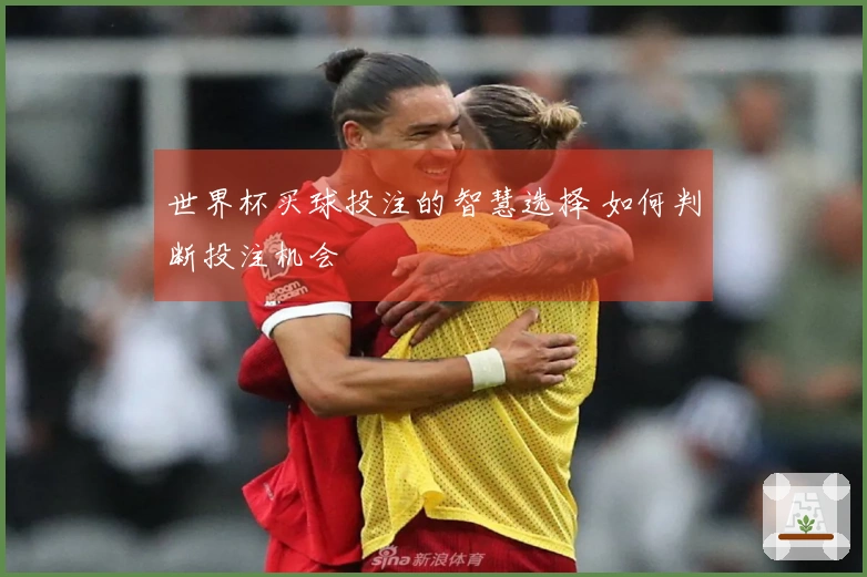 世界杯买球投注的智慧选择 如何判断投注机会