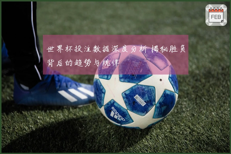 世界杯投注数据深度分析 揭秘胜负背后的趋势与规律