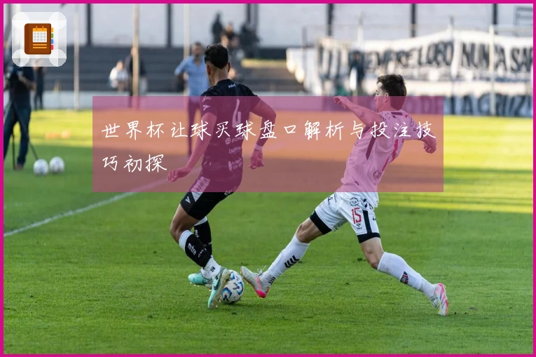 世界杯让球买球盘口解析与投注技巧初探
